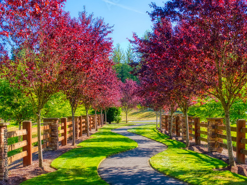 Landscapes and green colors all over the world 