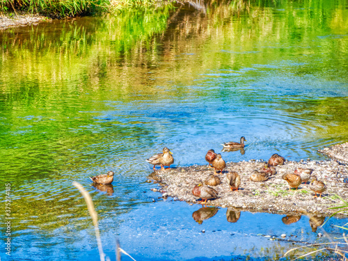 Landscapes and green colors all over the world 