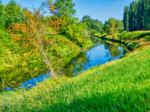 Landscapes and green colors all over the world 