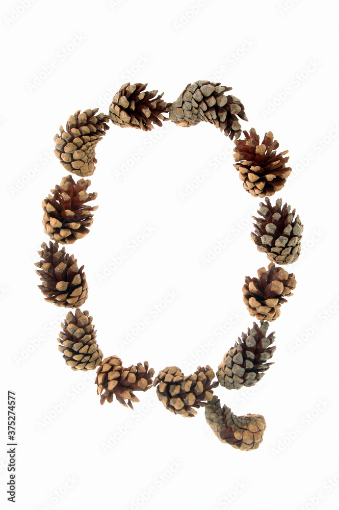 A to Z letters made from pine cones, alpha numeric set, unusual, inventive, individual letters on a white background, font type or font face, relates to nature, trees, outdoors, fun, season. alpine,.