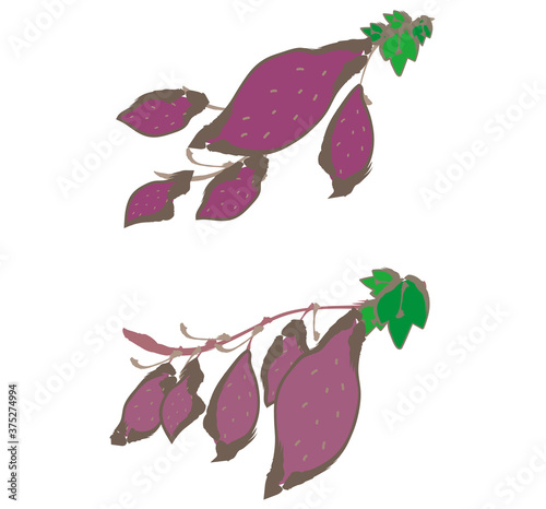 秋の味覚・芋掘り
