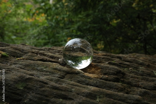 Crystal Ball Photography in woods and forest photo