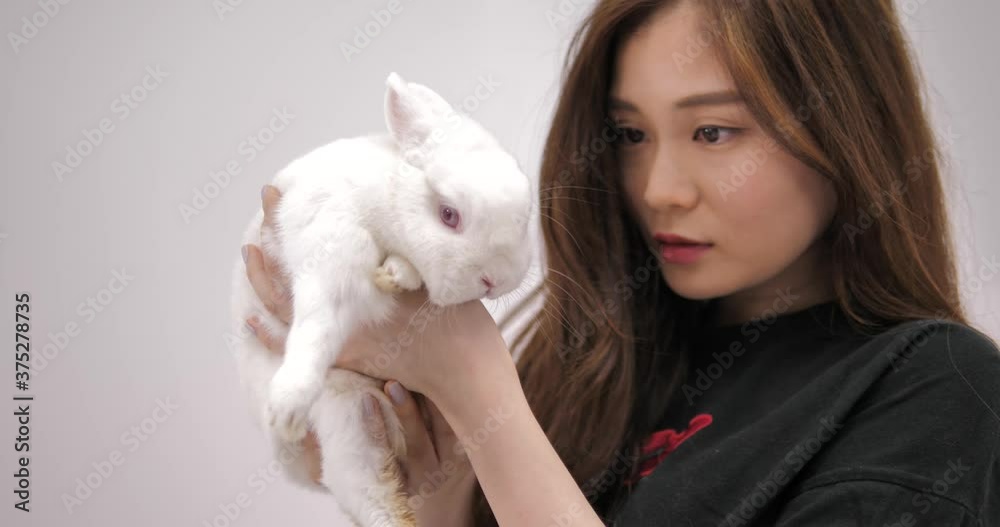 girl looking at white rabbit in white background girl looking at white rabbit in white background