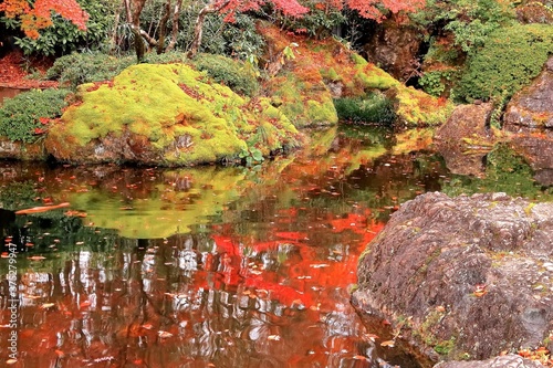 Fototapeta Naklejka Na Ścianę i Meble -  紅葉の日本庭園