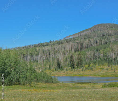 The peaceful Freeman Reservoir  below the mountainside of the Routt National Forests. In the Rocky mountains of Colorado photo