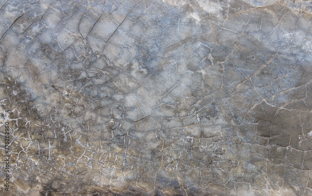 concrete texture for background. / Old Stone wall background.
