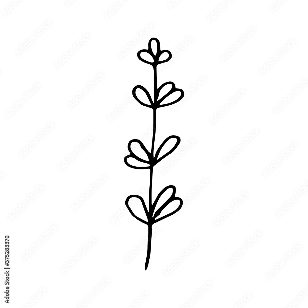 Cute single hand drawn floral elements. Doodle vector illustration for wedding design, logo and greeting card. Traditional hand drawn spring flowers in ink style.