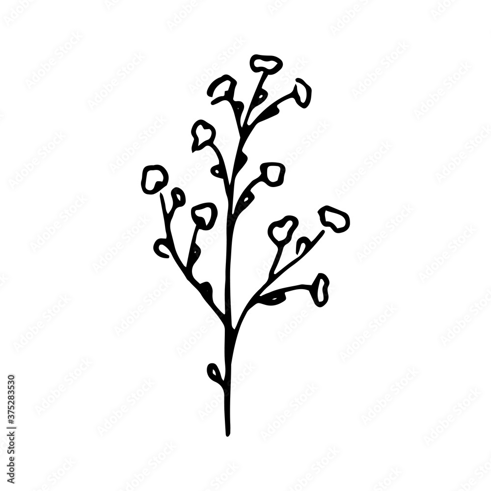 Cute single hand drawn floral elements. Doodle illustration for wedding design, logo and greeting card. Traditional hand drawn spring flowers in ink style.