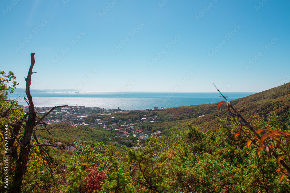 View from the green forest to the village near the sea, blue sky