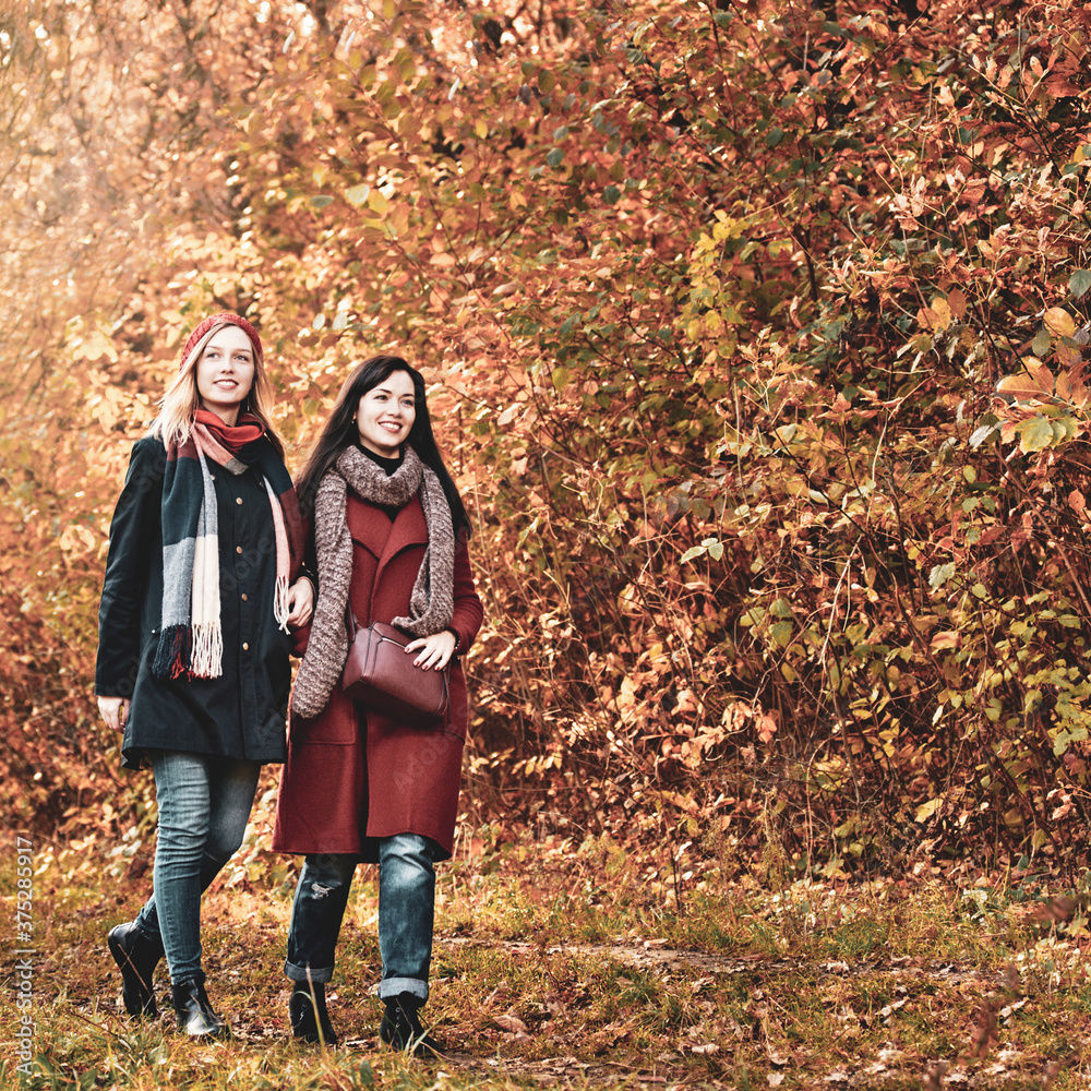Two happy young women walking in beautiful autumn park Two happy young women walking in beautiful autumn park