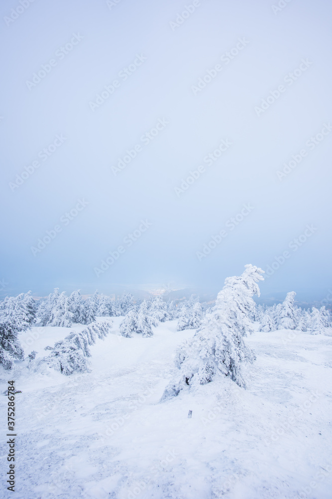 Winterwonderland Winterwonderland