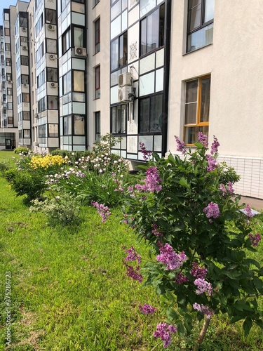 flowers in front of a house