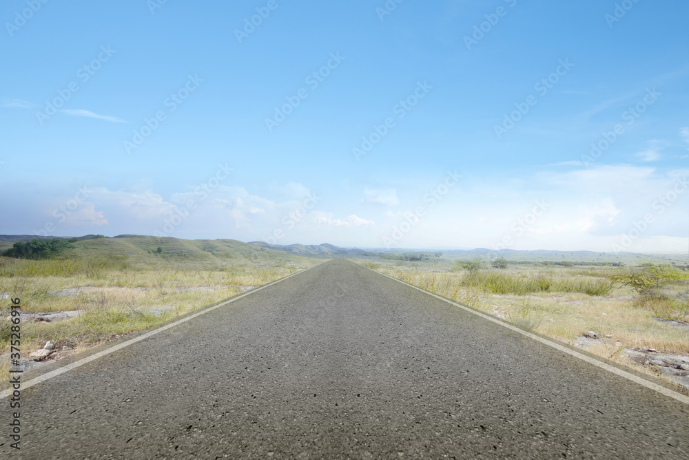 Fototapeta premium Asphalt road with green grass