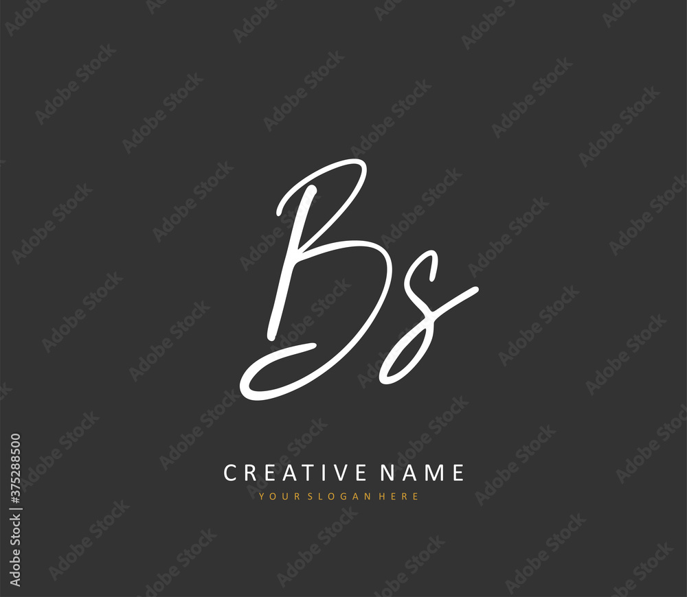 B S BS Initial letter handwriting and signature logo. A concept handwriting initial logo with template element. B S BS Initial letter handwriting and signature logo. A concept handwriting initial logo with template element.