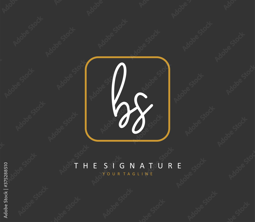 B S BS Initial letter handwriting and signature logo. A concept handwriting initial logo with template element. B S BS Initial letter handwriting and signature logo. A concept handwriting initial logo with template element.