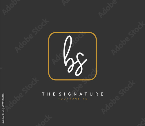 B S BS Initial letter handwriting and signature logo. A concept handwriting initial logo with template element. © FAAZT_Creative