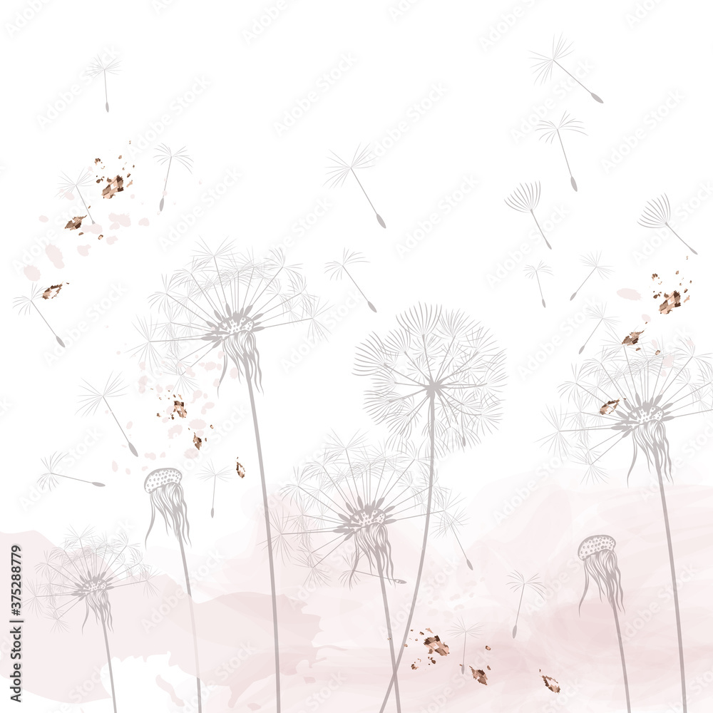 Fototapeta Dandelion vector illustration, rustic minimalist style, dreaming morning scene, soft pink, white clean background