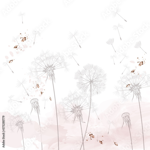Dandelion vector illustration  rustic minimalist style  dreaming morning scene  soft pink  white clean background