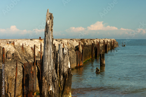 a decaying old concrete breakwater  rusty parts of the structure  old wooden piles stuck in the shore