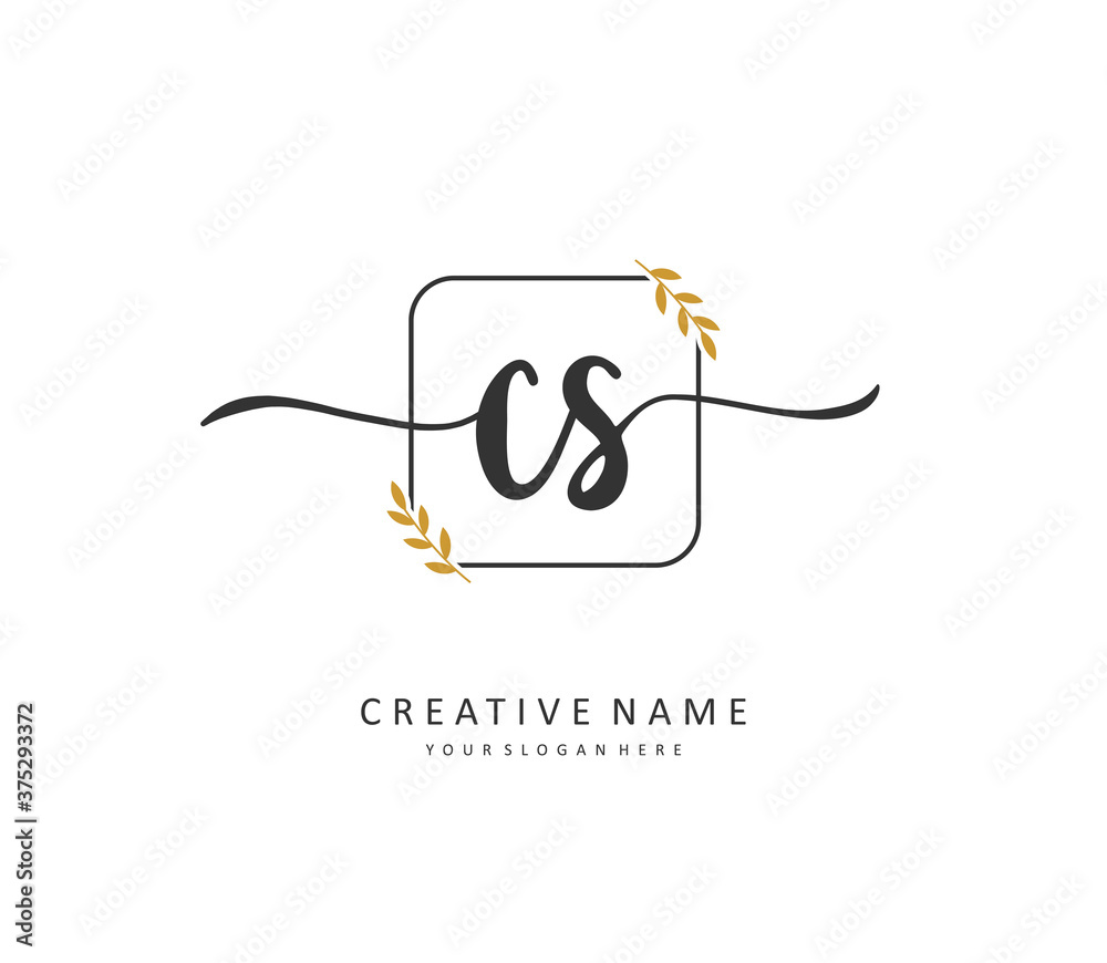 C S CS Initial letter handwriting and signature logo. A concept handwriting initial logo with template element. C S CS Initial letter handwriting and signature logo. A concept handwriting initial logo with template element.