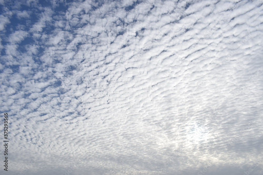 White clouds and the blue sky. Fluffy nature and sun rays