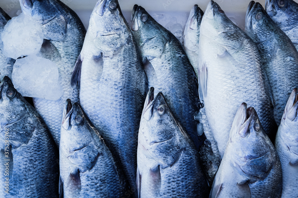 Obraz premium Seafood, Fresh Barramundi Fish in market