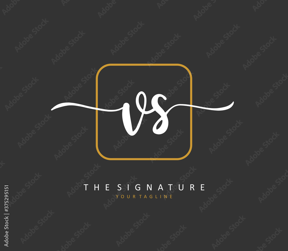 V S VS Initial letter handwriting and signature logo. A concept handwriting initial logo with template element. V S VS Initial letter handwriting and signature logo. A concept handwriting initial logo with template element.