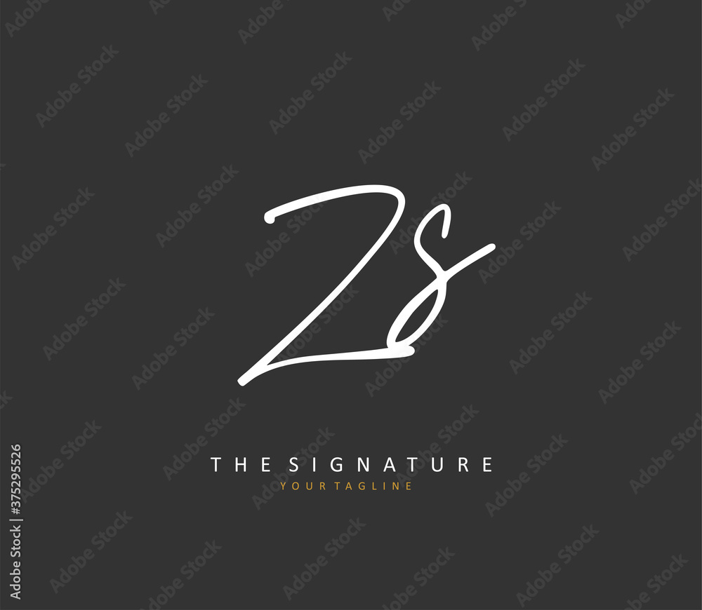 Z S ZS Initial letter handwriting and signature logo. A concept handwriting initial logo with template element. Z S ZS Initial letter handwriting and signature logo. A concept handwriting initial logo with template element.