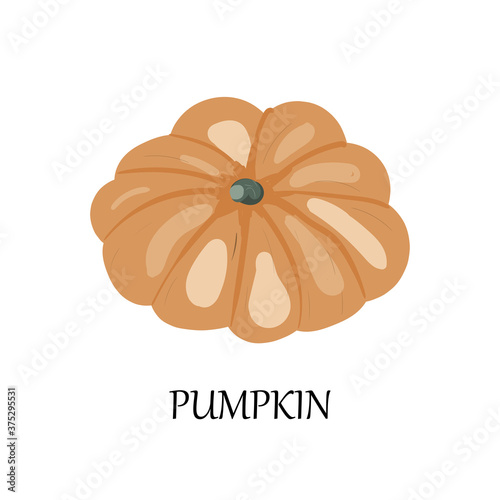 logo for design. separate vector element on white background. autumn vegetables. pumpkin with text.