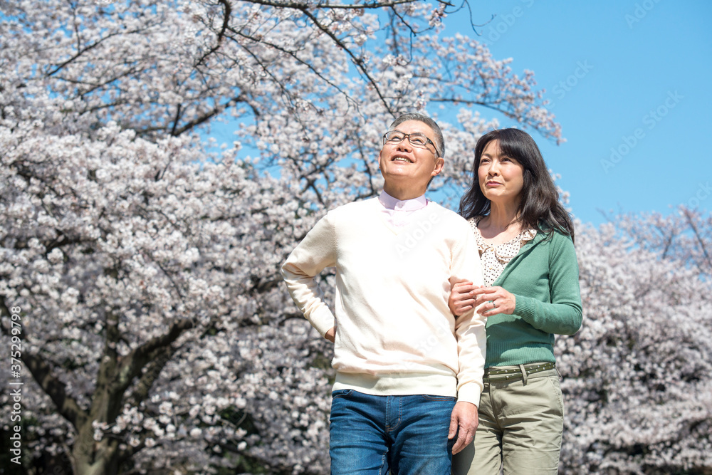 花見をするミドル夫婦 花見をするミドル夫婦