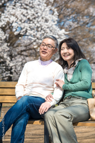 ベンチに座り花見をするミドル夫婦