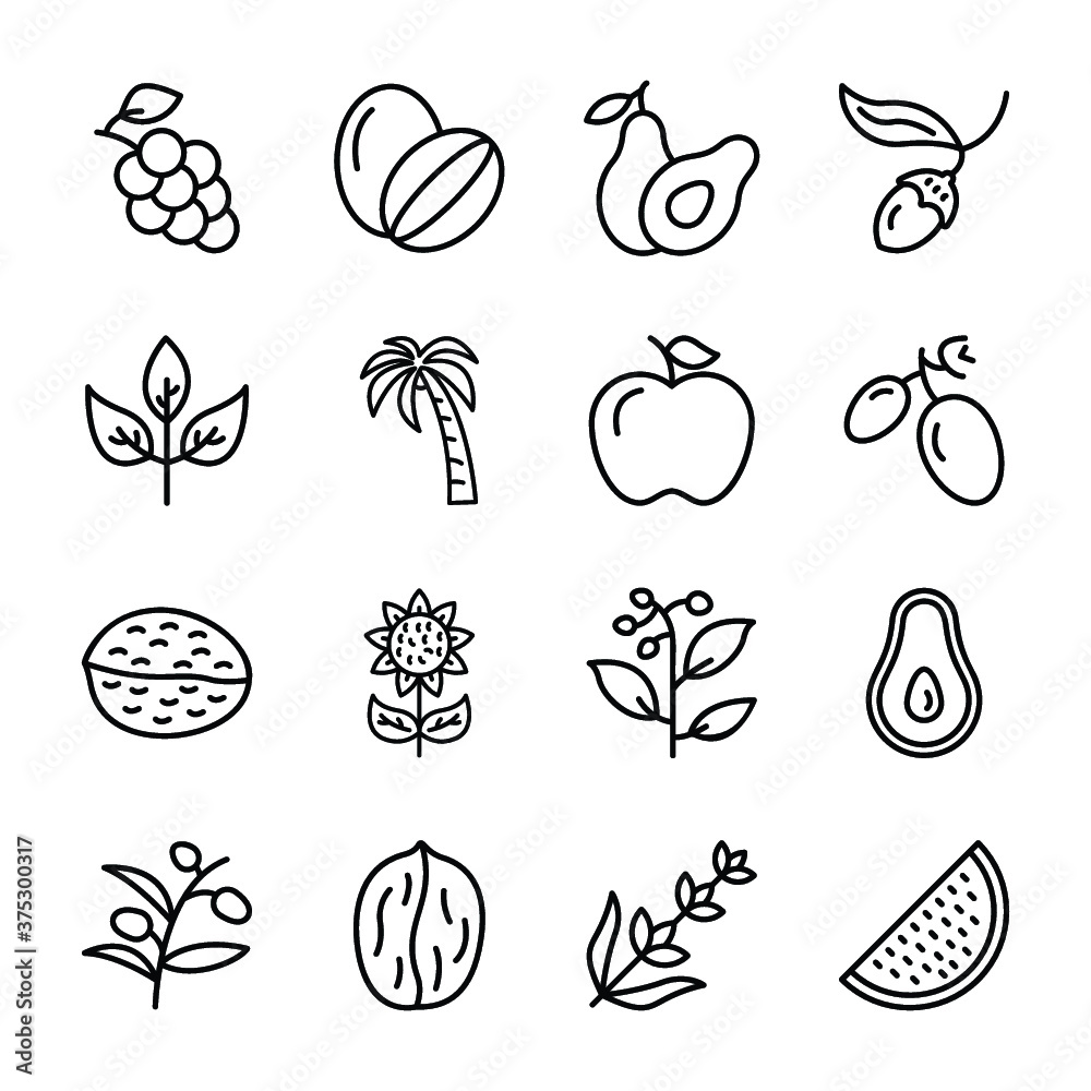 Organic Fruit Icons Vector Organic Fruit Icons Vector