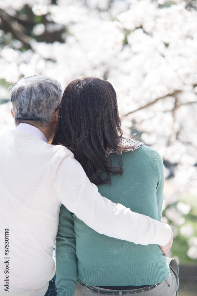 Fototapeta premium 桜を眺めるミドル夫婦の後姿