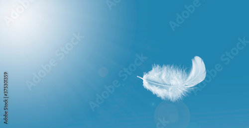 Fotografia Feather abstract freedom concept