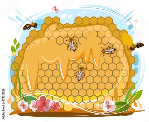 Bee honeycomb. Bees collect nectar, get honey, put it in wax cells. Vector isolated object on white background. Trickles of honey, flowers, summer.