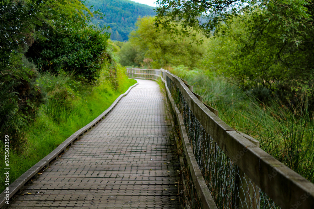 Wunderschöne Natur in Irland mit Wegen Straßen und Ausblick