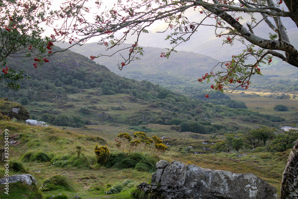 Lady View Irland Ring of Kerry Ausblick Lady View Irland Ring of Kerry Ausblick