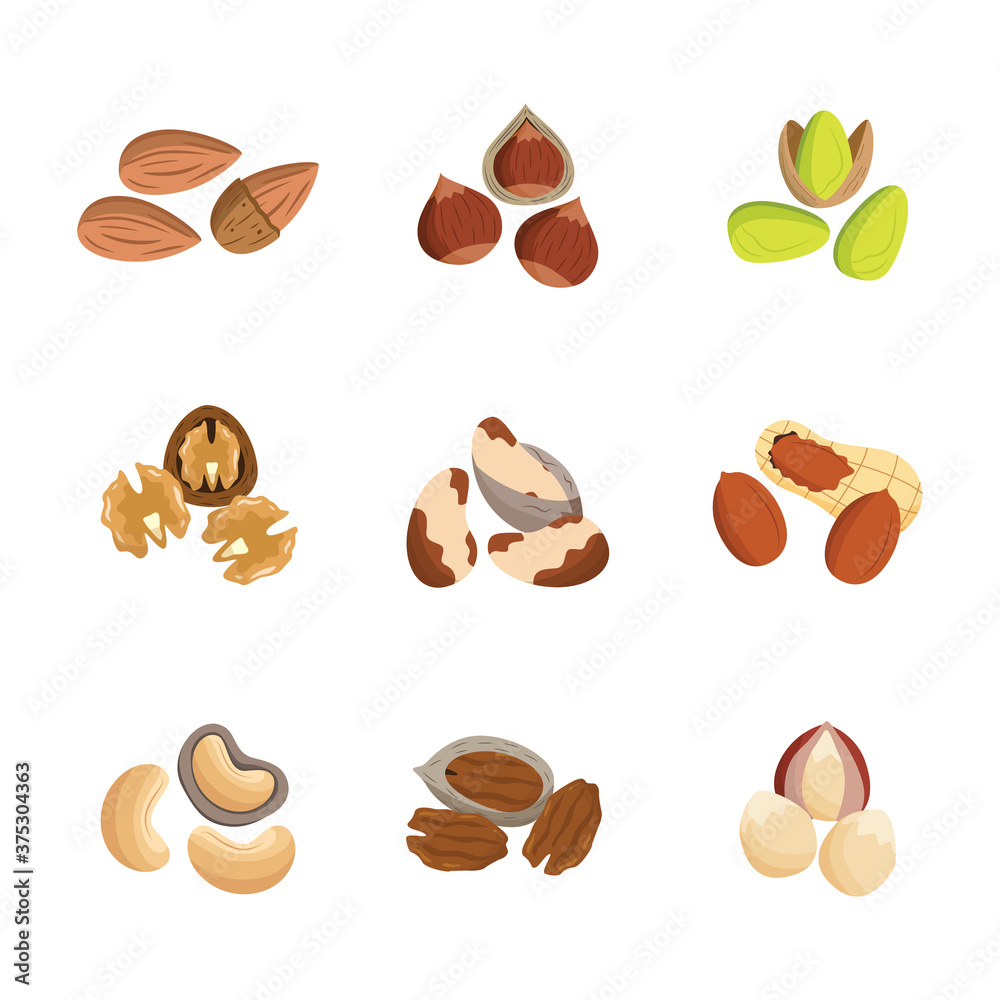 Set of organic natural various nuts stacks flat vector illustration isolated.