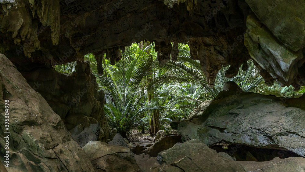 Hup Pa Tat Forest famous forest cave unseen Thailand at Lan Sak District Uthai Thani, Thailand. Hup Pa Tat Forest famous forest cave unseen Thailand at Lan Sak District Uthai Thani, Thailand.