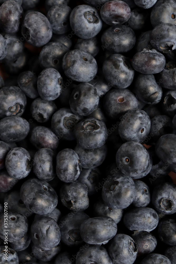 Blueberry berry fresh fruit background photo Blueberry berry fresh fruit background photo