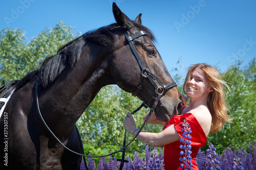 Slim girl in red dress standing with brown horse outdoors on nature on a Sunny day and green trees, blue lupins and sky in the background. Young woman hugging and having fun with horse on nature.