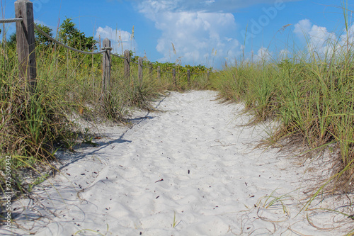 Florida Sandweg