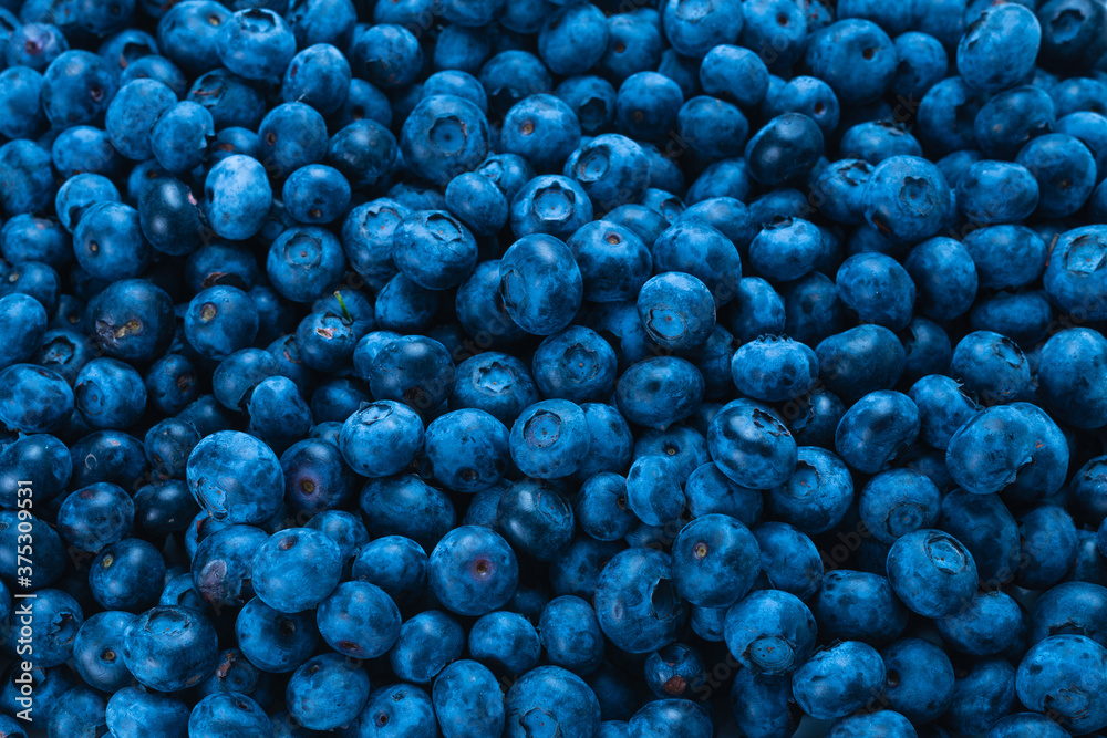 Fresh blueberry background.