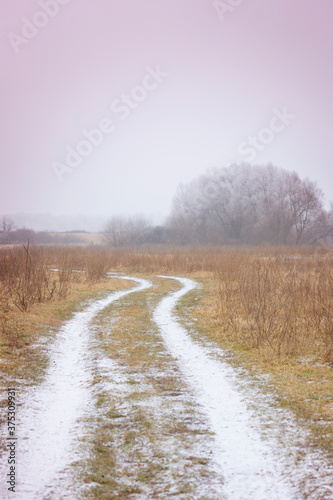 Beautiful country road covered with fresh snow and frost, in winter, in remote rural location