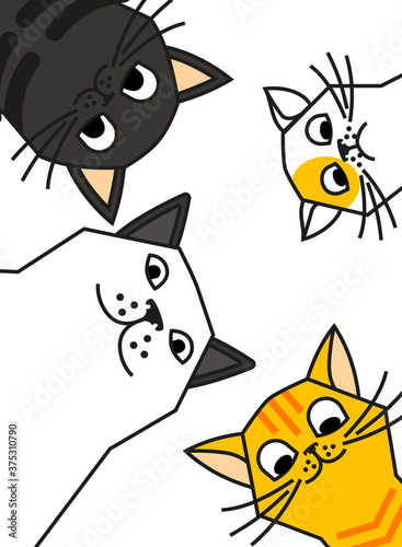 Cat meme