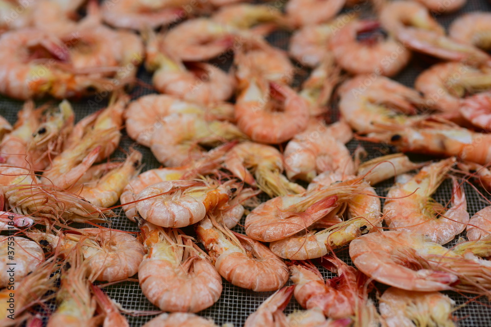 Dried shrimp close-up photo That is produced by themselves as a food ingredient