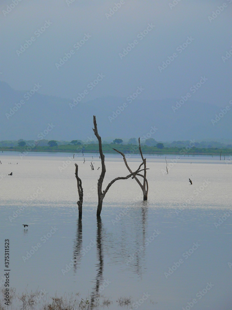 Indian Subcontinent, Sri Lanka (Ceylon), Udawalawa Reservoir