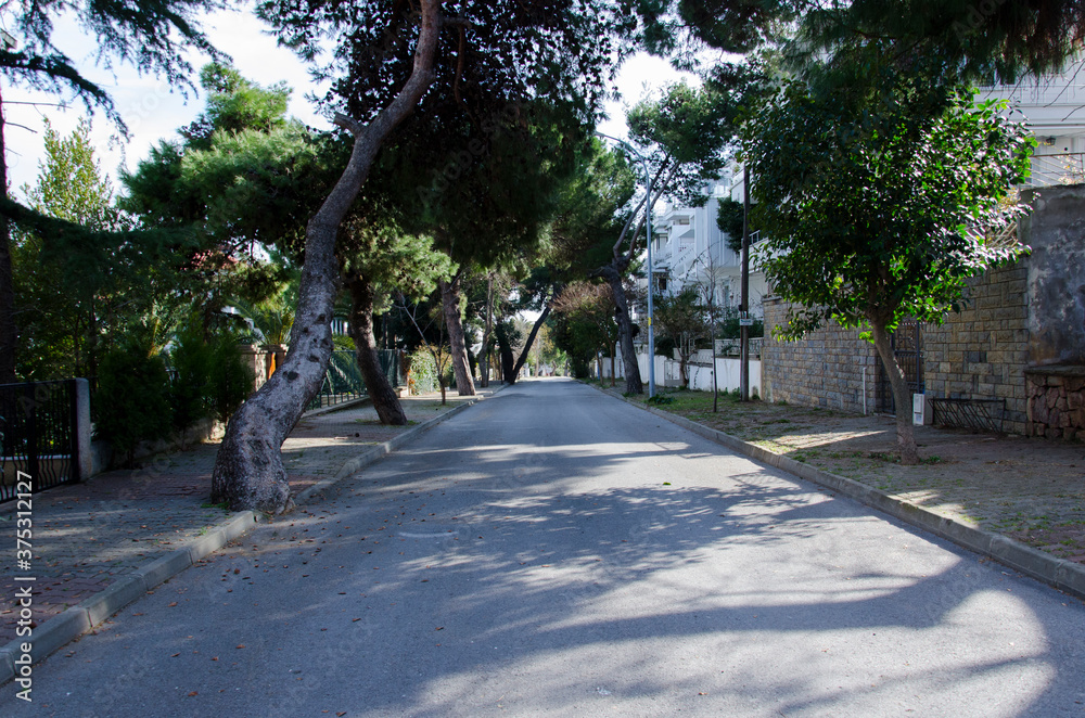 Obraz premium alley in the park