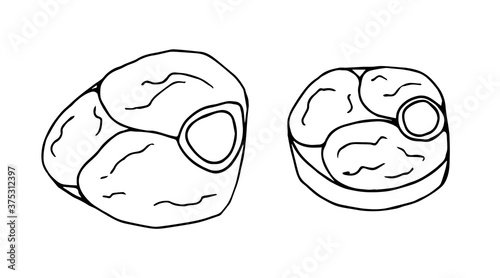 Hand-drawn vector drawing in black outline. Meat on the bone, ossobuco, butcher shop. Beef, recipe, menu. For label prints, food.