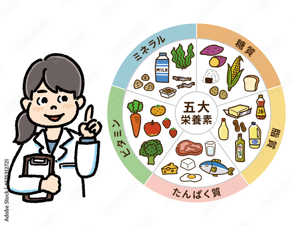 五大栄養素の表と管理栄養士のイラストa Stock Vector Adobe Stock